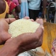 India, world's biggest rice exporter, bans some exports
