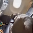 US man books 3 flight seats to fly is pet Great Dane. (Imaage courtesy: YouTube)